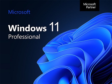 Windows 11 sprzedaż Poznań